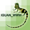   iguan_www